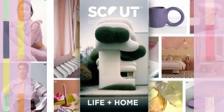 ‎ 

SCOUT LIFE 
A/W 25/26...