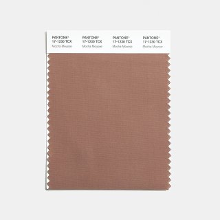 PANTONE ® COTTON SWATCH CARD
doppio strato, non tagliato
10 cm x 11 cm...