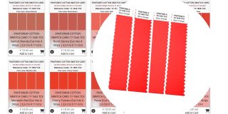 PANTONE ® COTTON SWATCH CARD in 2801 COLORI UNICI, a doppio strato, tagliata in 4 strisce di 2,5 cm x 11 cm ciascuna....