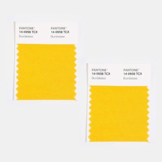 PANTONE ® COTTON SWATCH CARD
tagliata in 2 MINI, a doppio strato
ciascuno 5 cm x 5 cm...