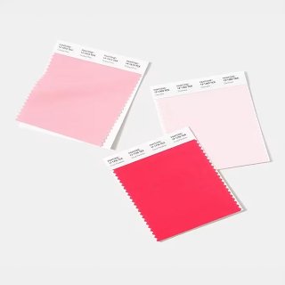 CAMPIONARIO PANTONE COTONE TCX
2801 colori - standard per designer, coloristi e sviluppatori di prodotti...